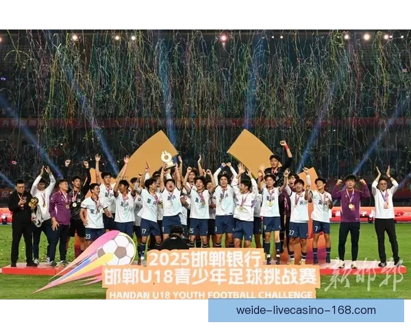 世界杯足球竞猜投注全攻略技巧解析与赛事预测深度指南助你稳健参与精彩赛事